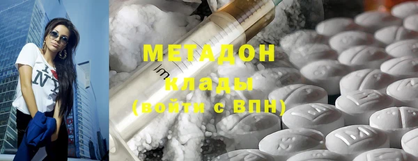 индика Абаза