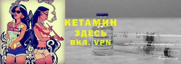 прущие грибы Абинск